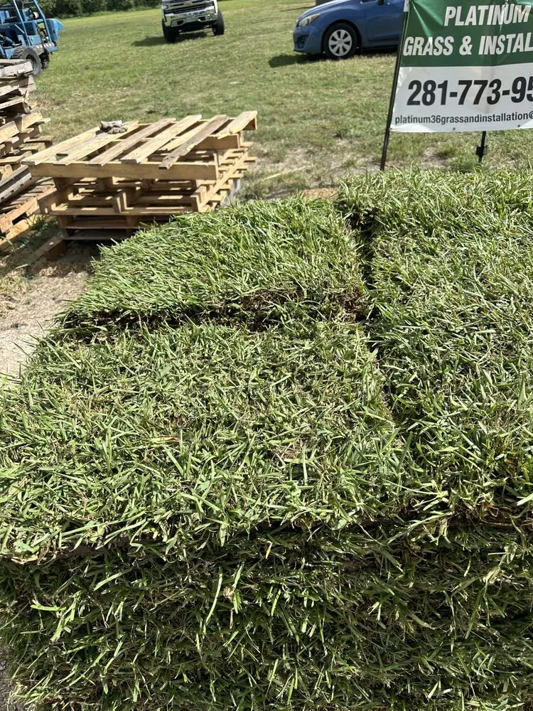 Custom lawn care service in Richmond, TX by Platinum 36 Grass & Installation