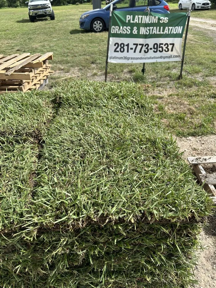 Local residential landscaping in Richmond, TX by Platinum 36 Grass & Installation