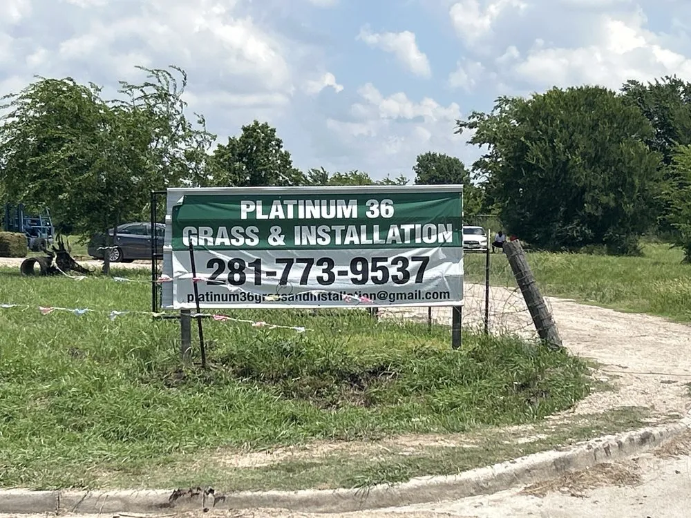Trusted yard cleanup service in Richmond, TX - Platinum 36 Grass & Installation