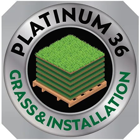 Expert lawn care service in Richmond, TX - Platinum 36 Grass & Installation