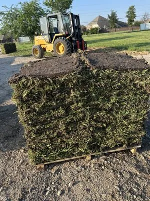 Platinum 36 Grass & Installation Logo