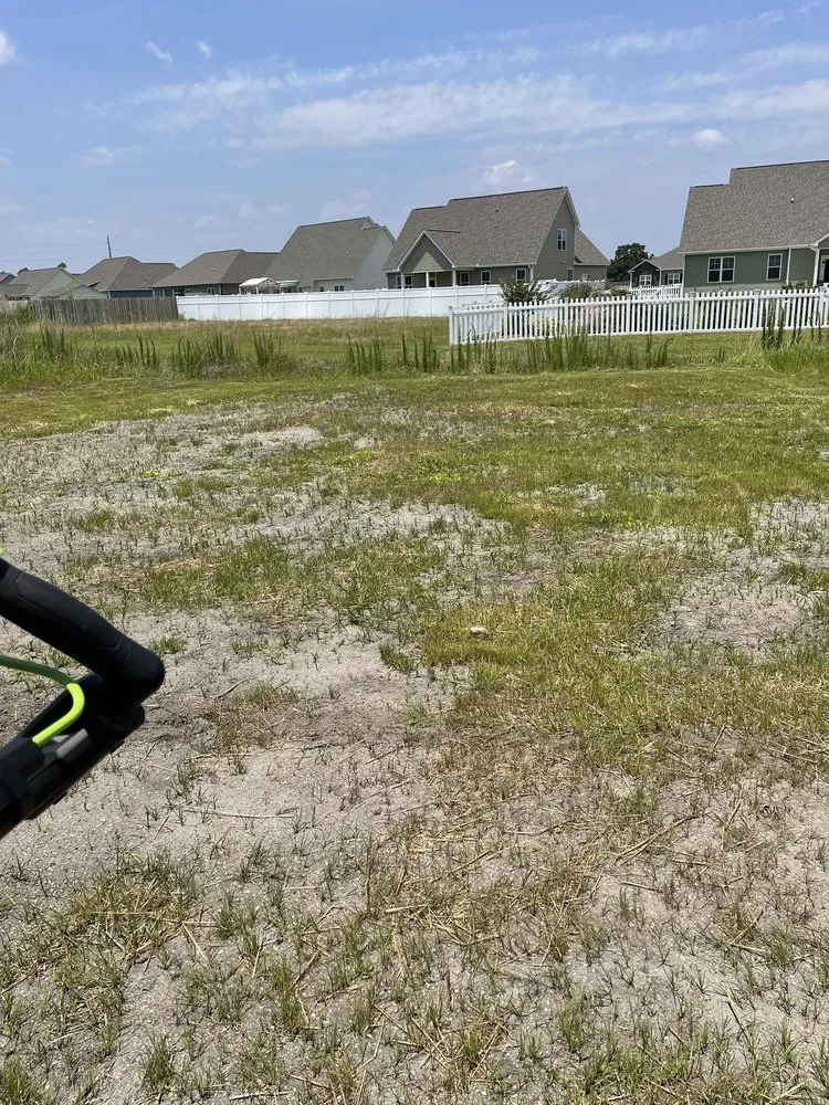 Top-rated garden landscaping for beautiful yards across Newport, NC - Platinum Concrete & Hardscapes