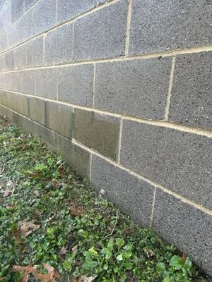 Platinum Cuts Landscaping