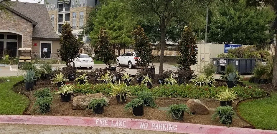 Reliable residential landscaping in Frisco, TX - Platinum DFW Landscape Services