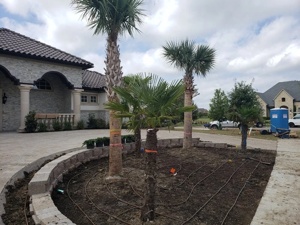 Expert yard maintenance for beautiful yards in Frisco, TX by Platinum DFW Landscape Services
