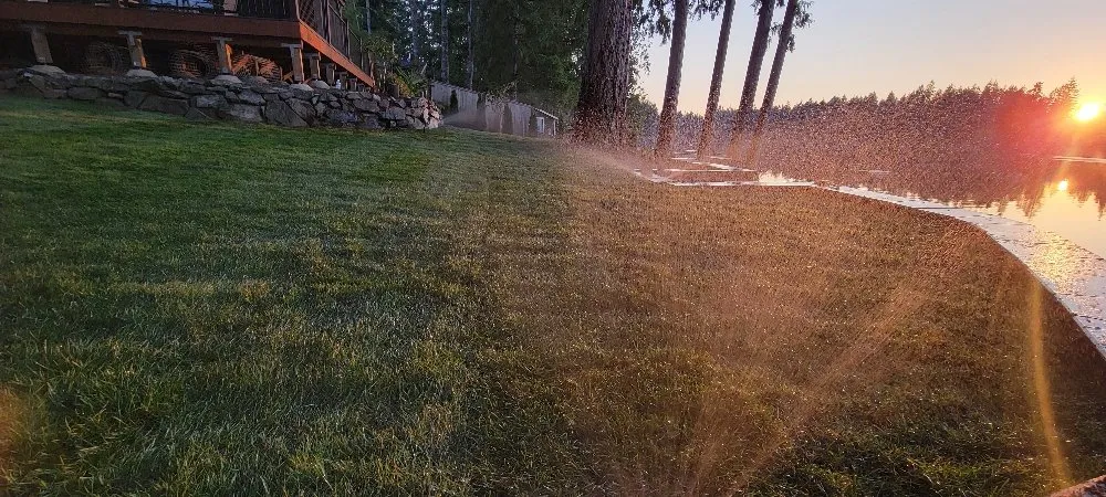 Expert lawn care service with custom design in Lakebay, WA by Platinum Earthworks