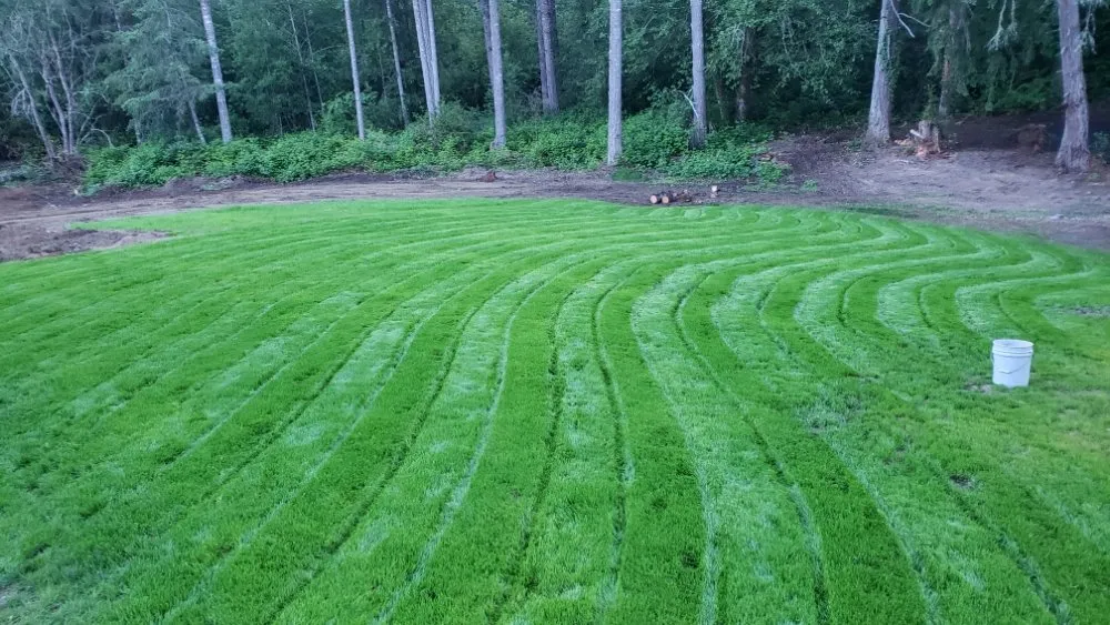 Affordable landscape installation experts serving Lakebay, WA - Platinum Earthworks