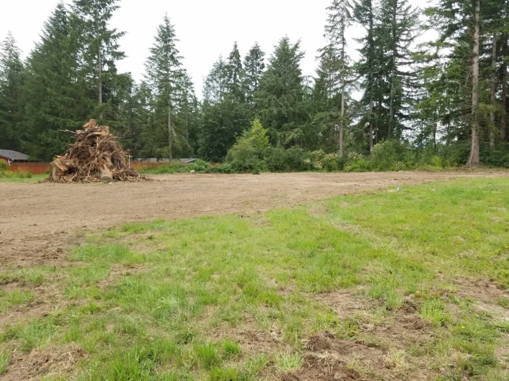 Trusted yard maintenance for year-round maintenance in Lakebay, WA by Platinum Earthworks