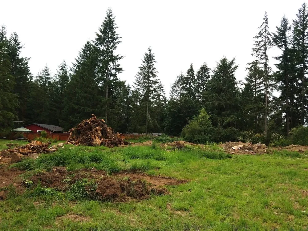 Reliable yard cleanup service for outdoor upgrades across Lakebay, WA - Platinum Earthworks