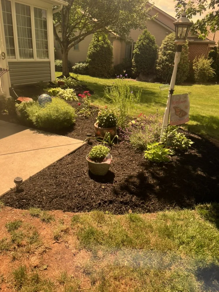 Professional yard cleanup service near you across Boiling Springs, PA - Platinum Grass