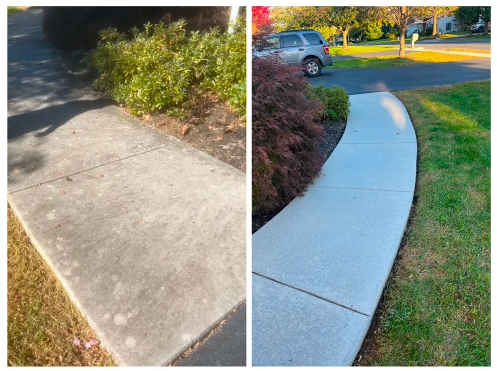 Custom outdoor landscaping for residential properties across Boiling Springs, PA - Platinum Grass