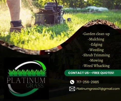 Affordable garden landscaping for homes across Boiling Springs, PA - Platinum Grass