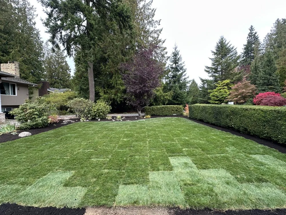 Professional lawn care service in Marysville, WA - Platinum Hardscapes