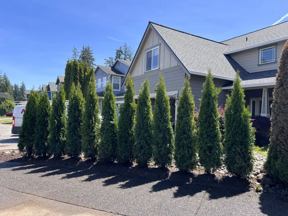 Professional yard cleanup service in Marysville, WA - Platinum Hardscapes