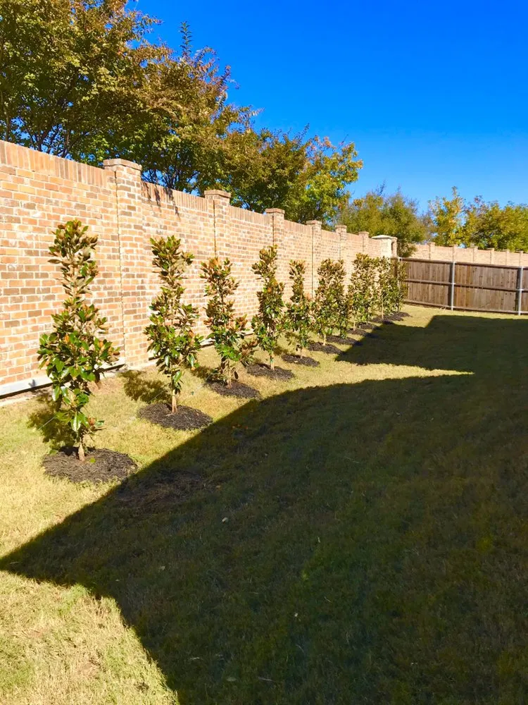Trusted yard maintenance for beautiful yards across Richardson, TX - Platinum IV Lawn Care Company