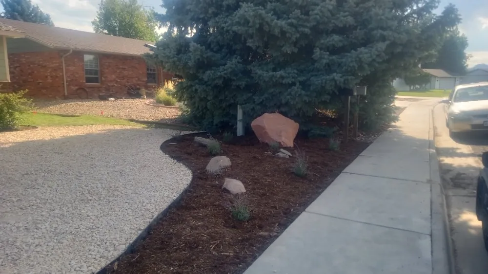 Trusted yard cleanup service in Fort Collins, CO by Platinum Landscape & Tree Service