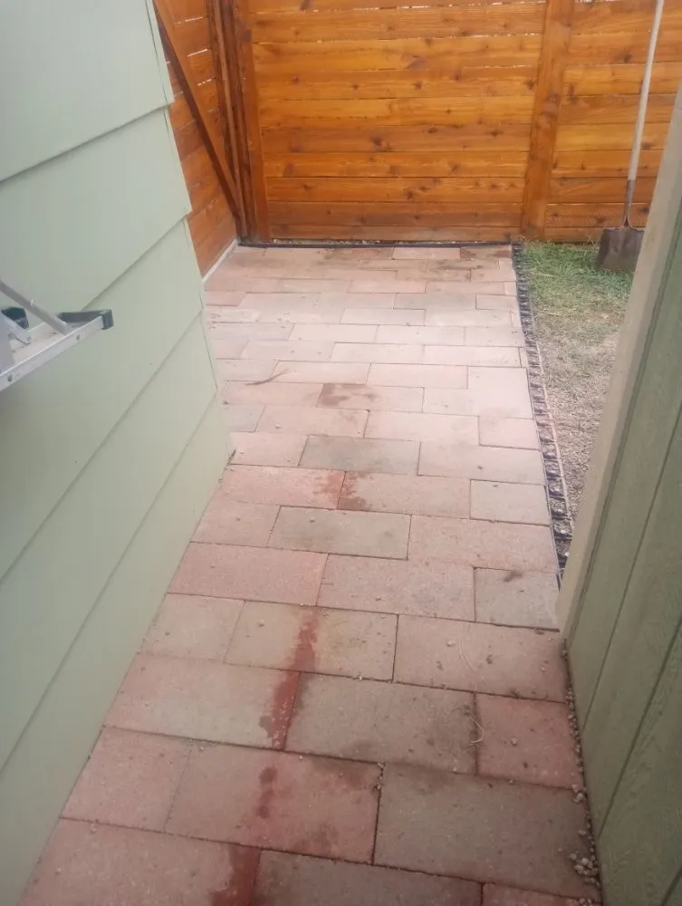 Expert yard maintenance in Fort Collins, CO by Platinum Landscape & Tree Service