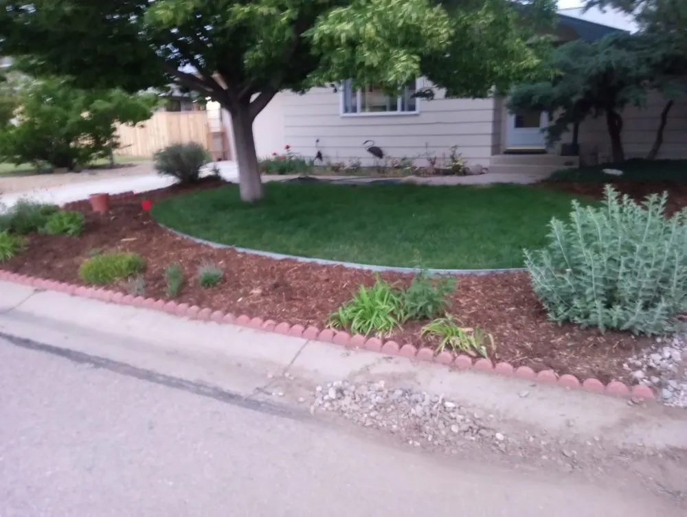 Custom yard cleanup service in Fort Collins, CO by Platinum Landscape & Tree Service