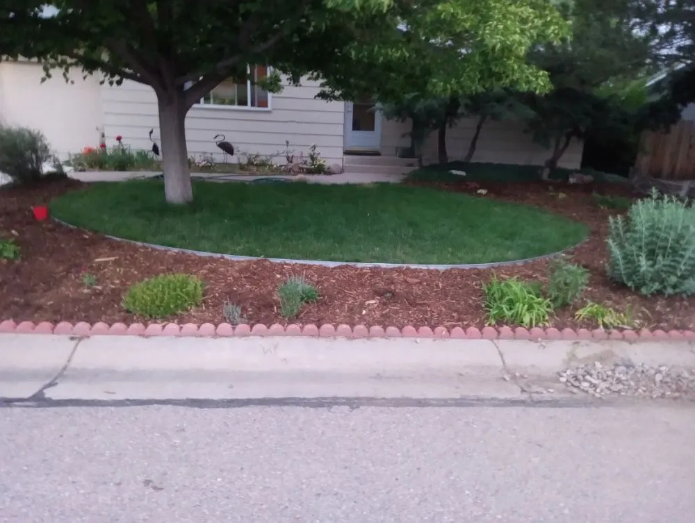 Top-rated landscape installation for residential properties in Fort Collins, CO by Platinum Landscape & Tree Service