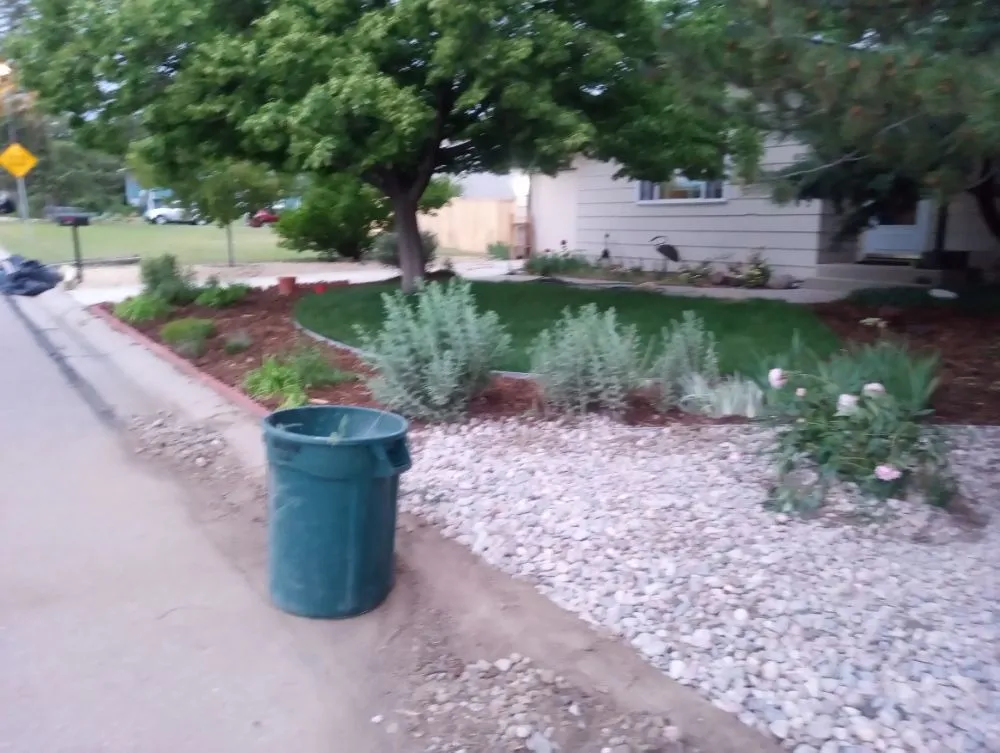 Top-rated yard cleanup service for beautiful yards in Fort Collins, CO by Platinum Landscape & Tree Service