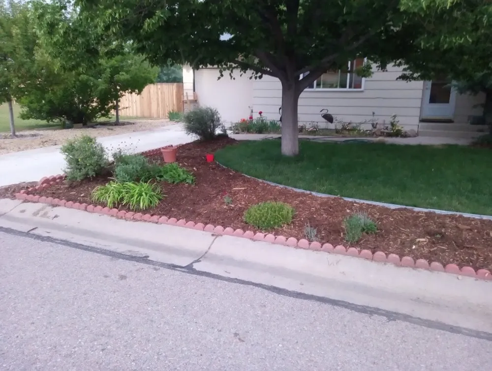Expert outdoor landscaping in Fort Collins, CO - Platinum Landscape & Tree Service