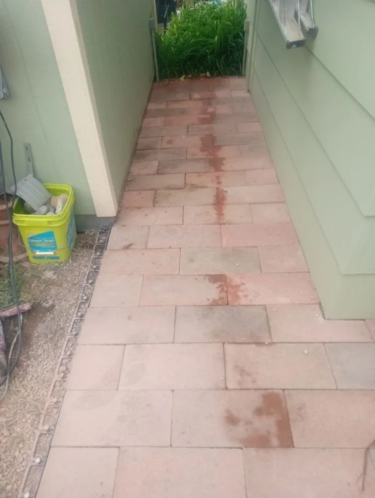 Local residential landscaping in Fort Collins, CO by Platinum Landscape & Tree Service