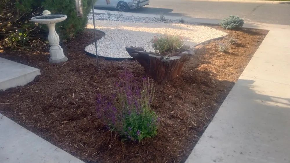 Affordable outdoor landscaping experts serving Fort Collins, CO - Platinum Landscape & Tree Service