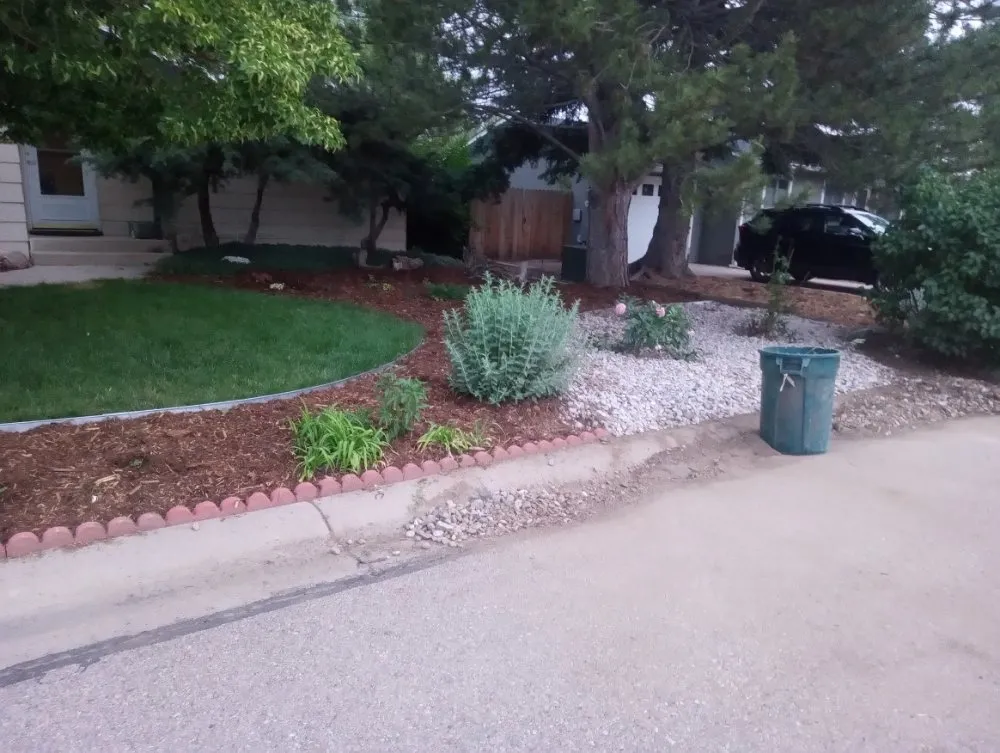 Top-rated lawn care service in Fort Collins, CO - Platinum Landscape & Tree Service