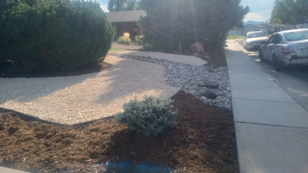 Custom lawn care service in Fort Collins, CO by Platinum Landscape & Tree Service