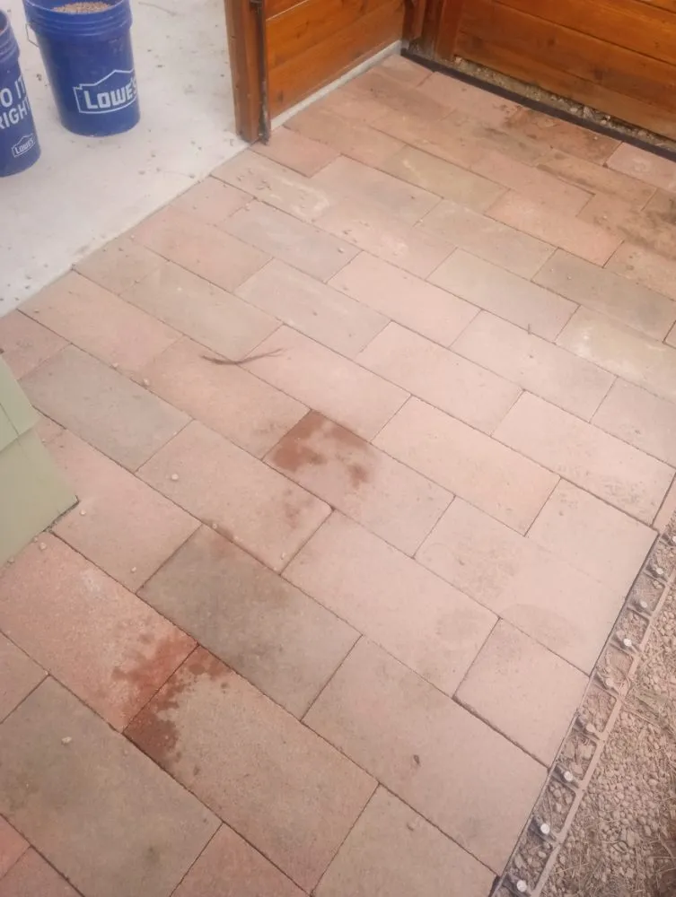 Reliable yard cleanup service in Fort Collins, CO - Platinum Landscape & Tree Service