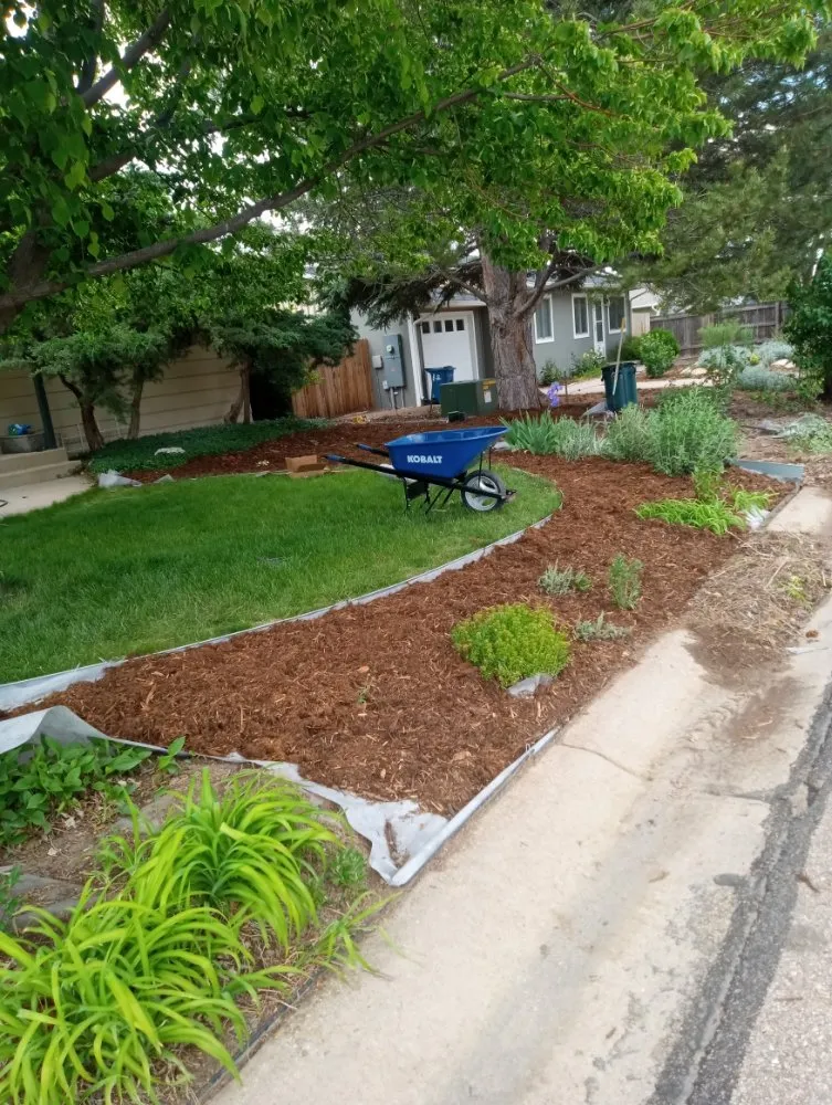 Professional yard cleanup service for beautiful yards across Fort Collins, CO - Platinum Landscape & Tree Service