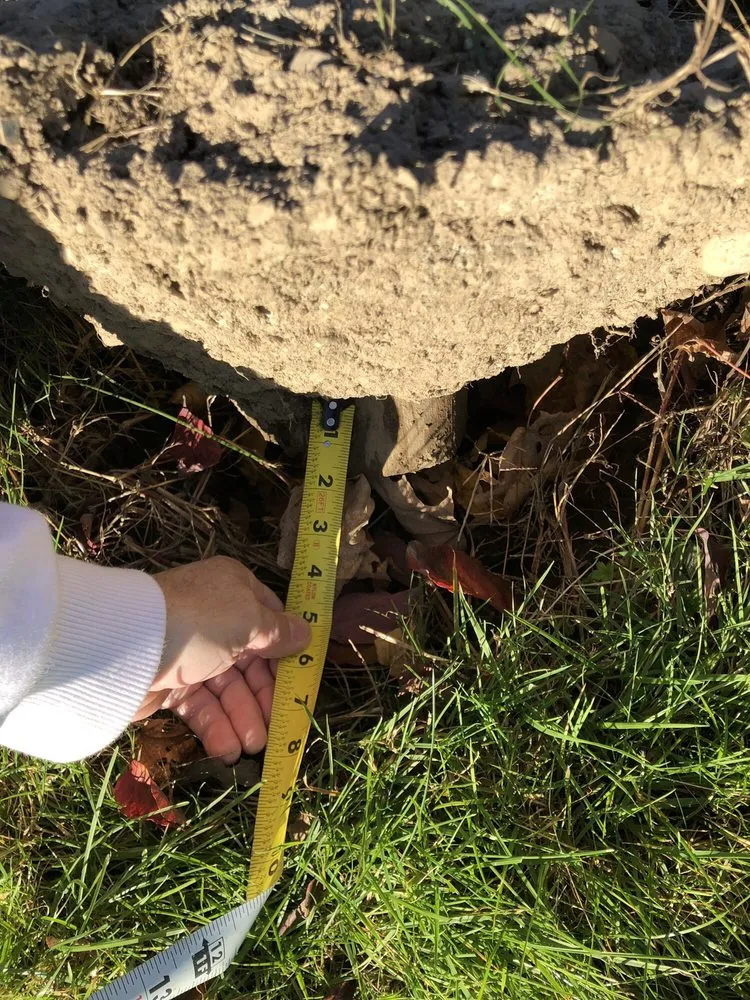 Affordable landscaping services for beautiful yards in Attleboro, MA by Platinum Landscape and Design