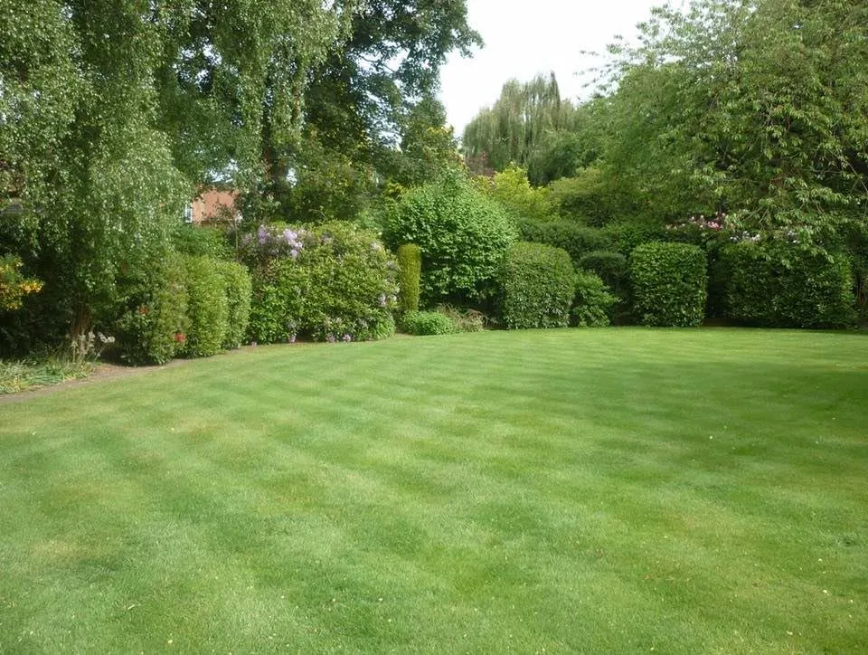 Trusted lawn care service for beautiful yards in San Angelo, TX by Platinum Landscape Design