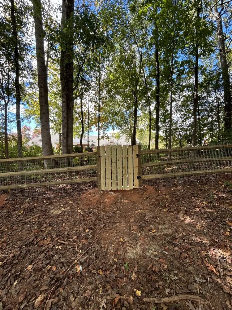 Expert landscaping services for year-round maintenance in Mooresville, NC by Platinum Landscape Designs