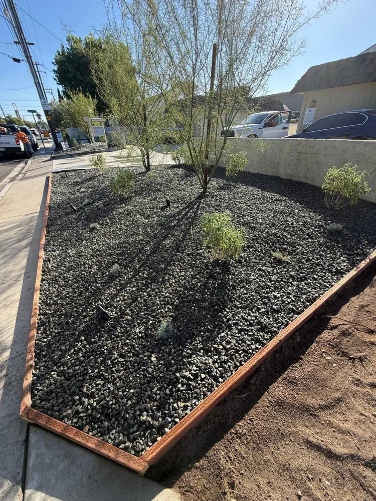 Expert landscaping services for year-round maintenance in Fresno, CA by Platinum Landscape