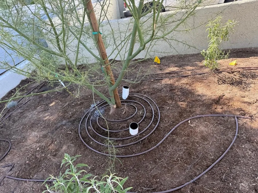 Trusted garden landscaping with custom design in Fresno, CA by Platinum Landscape