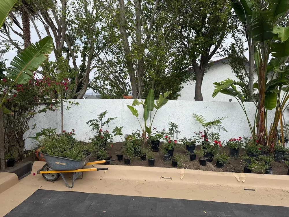 Affordable outdoor landscaping in Fresno, CA by Platinum Landscape