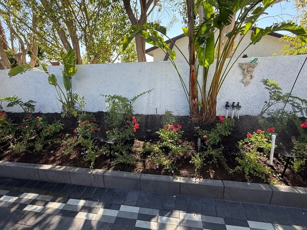 Custom yard cleanup service in Fresno, CA - Platinum Landscape