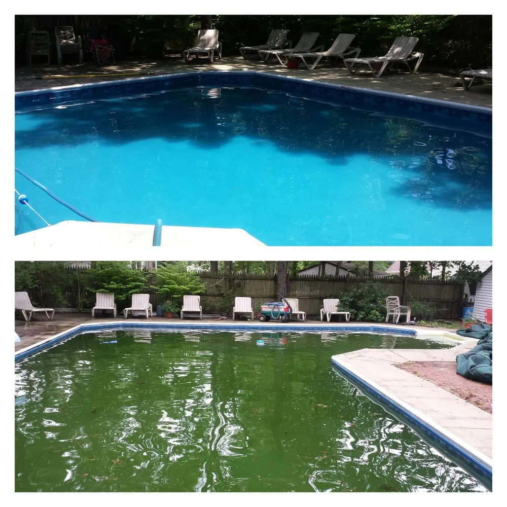 Affordable garden landscaping in Egg Harbor Township, NJ - Platinum Landscape Management