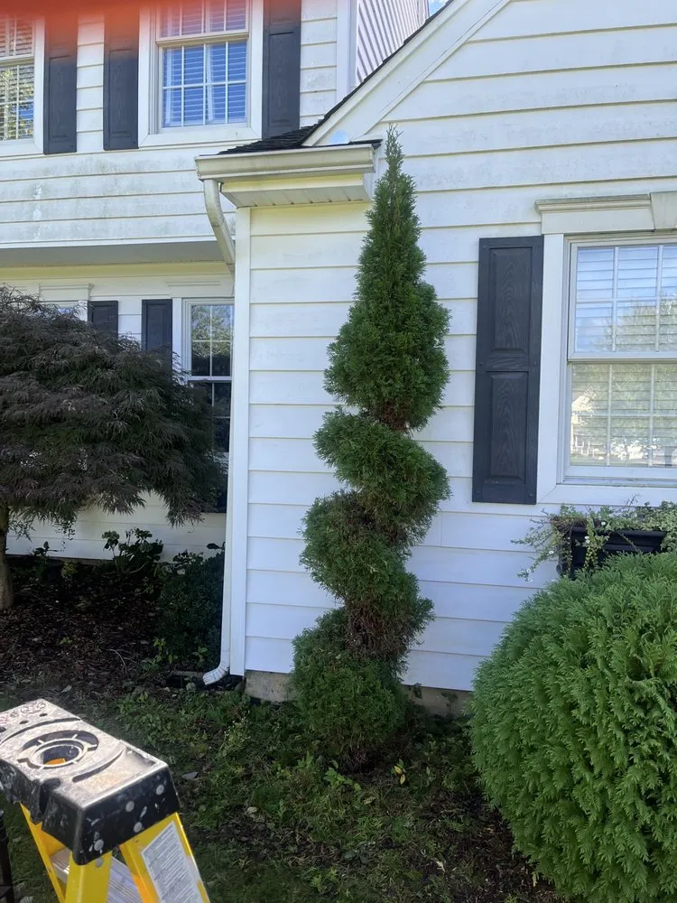 Local landscape installation in Egg Harbor Township, NJ - Platinum Landscape Management