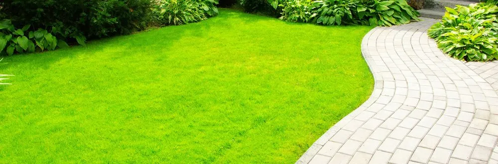 Affordable landscaping services for beautiful yards in Travelers Rest, SC by Platinum Landscapes