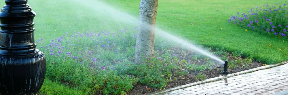 Professional landscaping services in Travelers Rest, SC by Platinum Landscapes