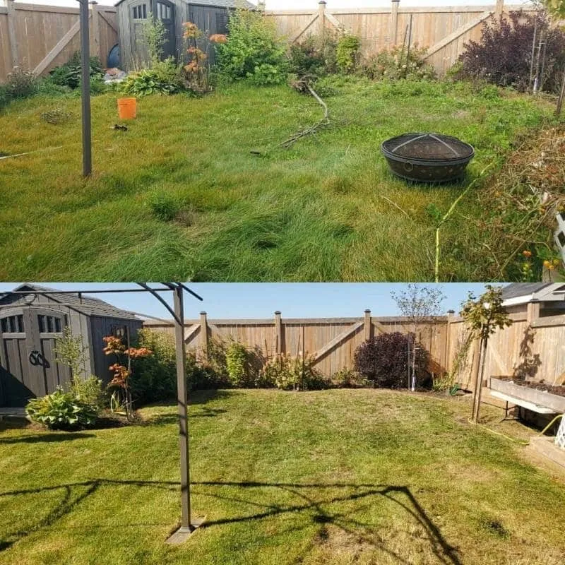 Expert lawn mowing service in Oakdale, CA - Platinum Landscaping