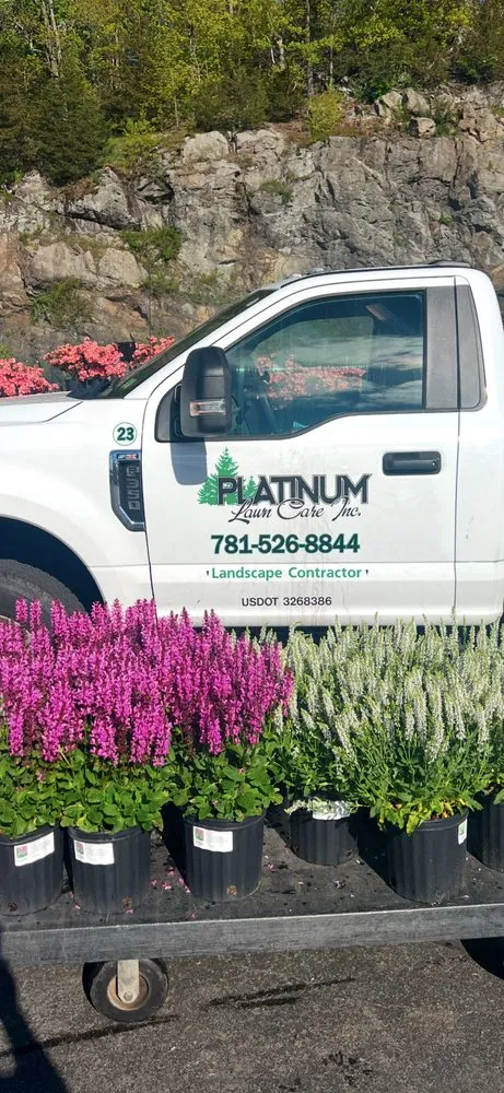 Expert lawn care service experts serving Winchester, MA - Platinum Landscaping