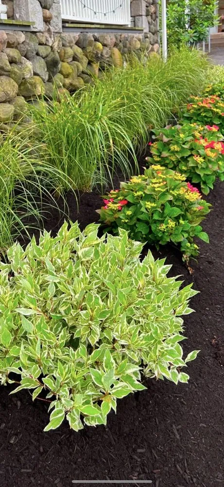 Expert outdoor landscaping for homes across Winchester, MA - Platinum Landscaping