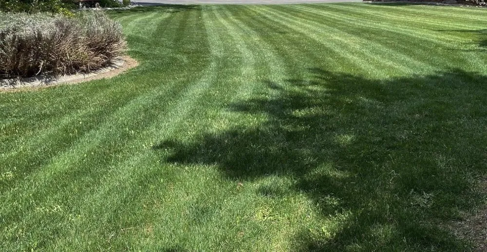 Professional lawn mowing service for year-round maintenance across Nampa, ID - Platinum Lawn & Landscape