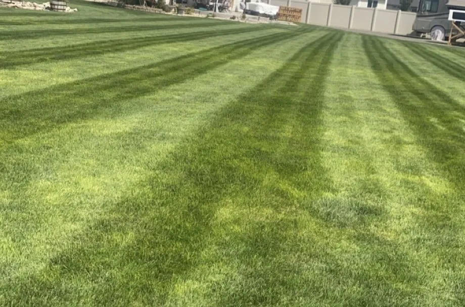 Professional landscape design experts serving Nampa, ID - Platinum Lawn & Landscape