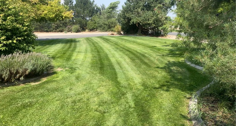 Top-rated landscaping services in Nampa, ID by Platinum Lawn & Landscape