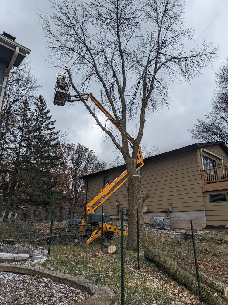 Custom yard cleanup service in St Cloud, MN by Platinum Lawn and Landscaping
