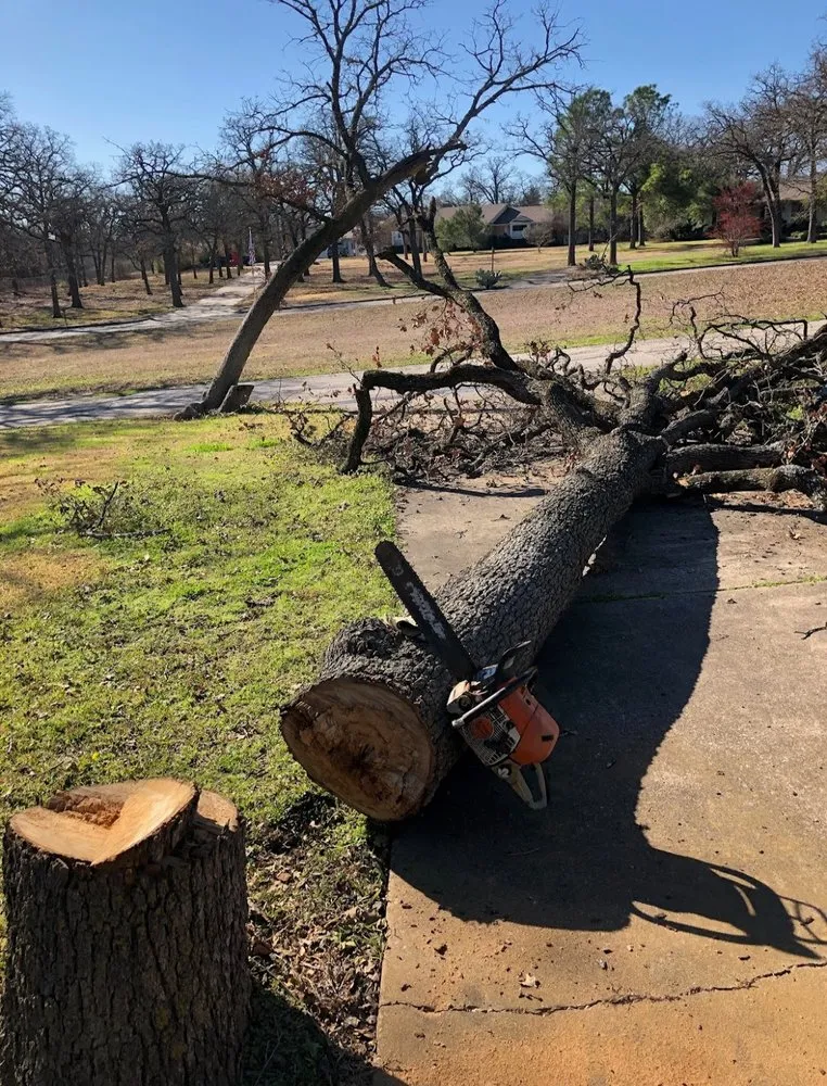 Affordable landscape design in Argyle, TX by Platinum Lawn Care